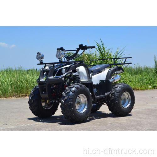 हॉट सेलिंग एटीवी 110/125cc क्वाड बाइक
